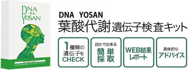 葉酸代謝遺伝子検査キット
