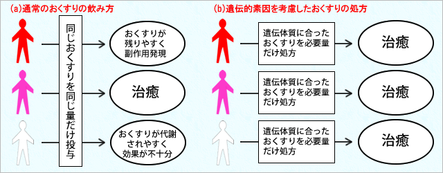 >図3　通常のおくすりの処方(a)と遺伝的素因を考慮したおくすりの処方(b)の概念