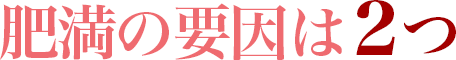 肥満の要因は２つ