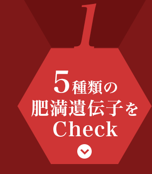5種類の肥満遺伝子をCheck