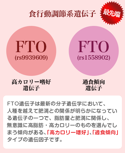 食行動調節系遺伝子（最先端）