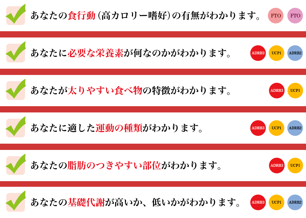 ５つの肥満遺伝子でわかることの詳細