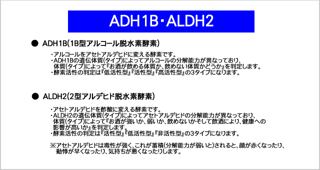 AHD1B(アルコール脱水素酵素),ALDH2(アルデヒド脱水素酵素)について