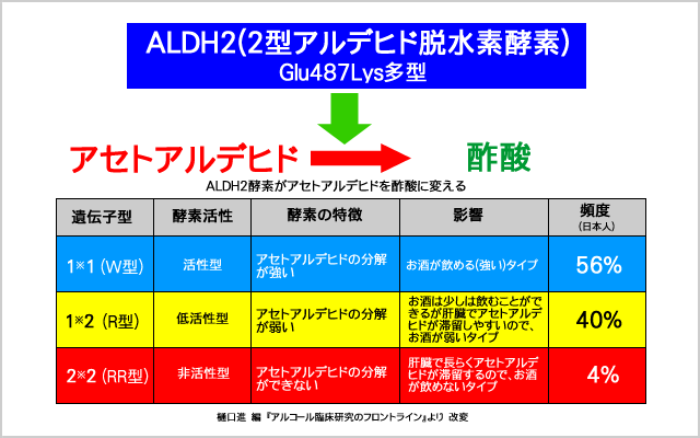 ALDH2（アルデヒド脱水素酵素）が酢酸に変える