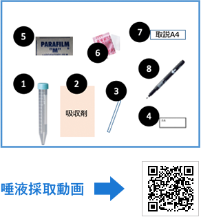 EBS　唾液採取セット