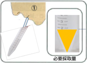 唾液を容器内に採取