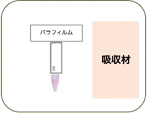 鼻腔粘膜を容器内に採取